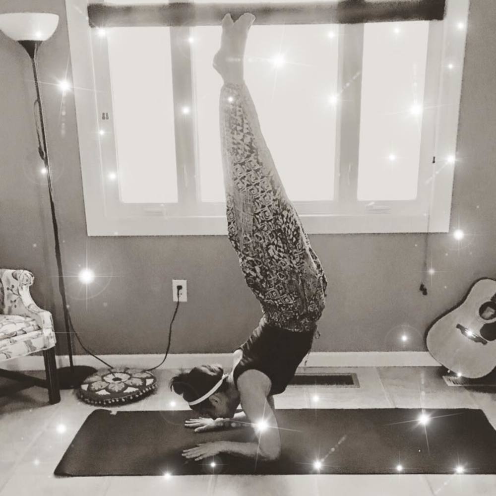 Meet your Posher, Liz